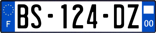 BS-124-DZ