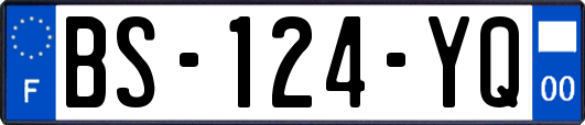 BS-124-YQ