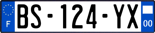 BS-124-YX