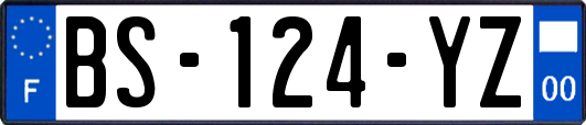 BS-124-YZ