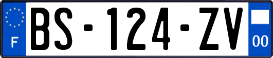 BS-124-ZV