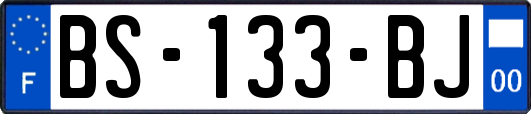 BS-133-BJ