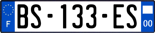 BS-133-ES