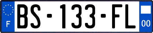 BS-133-FL