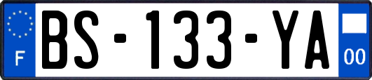 BS-133-YA