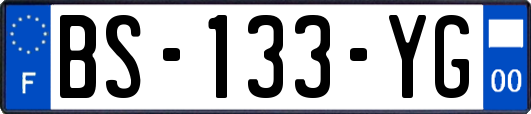BS-133-YG