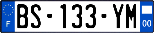 BS-133-YM