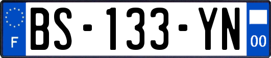 BS-133-YN