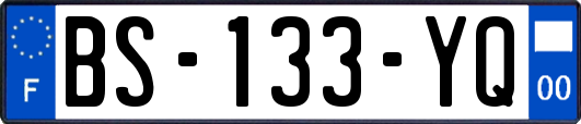 BS-133-YQ
