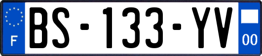BS-133-YV