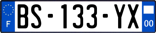 BS-133-YX