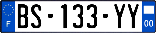 BS-133-YY