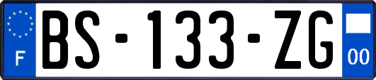 BS-133-ZG