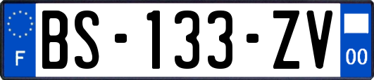 BS-133-ZV