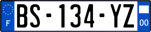 BS-134-YZ