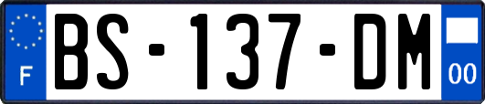 BS-137-DM