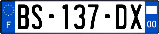 BS-137-DX