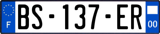 BS-137-ER