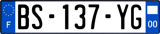 BS-137-YG