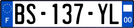 BS-137-YL