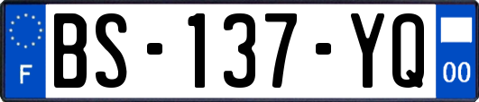BS-137-YQ