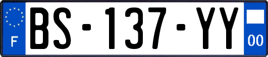 BS-137-YY