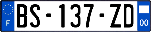 BS-137-ZD