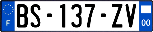 BS-137-ZV