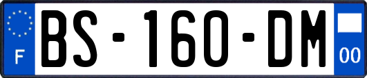 BS-160-DM