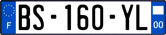 BS-160-YL