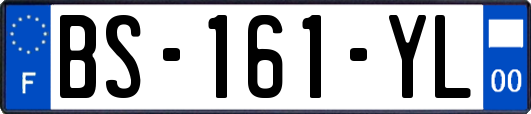 BS-161-YL