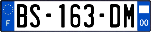 BS-163-DM