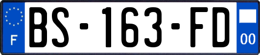 BS-163-FD