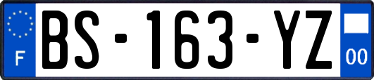 BS-163-YZ