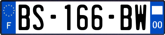 BS-166-BW