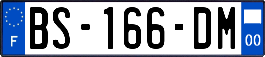 BS-166-DM