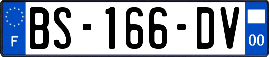 BS-166-DV