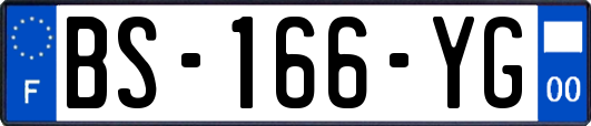 BS-166-YG