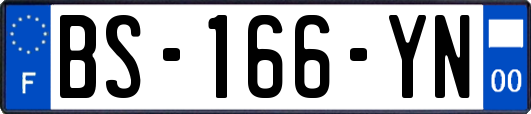 BS-166-YN