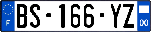 BS-166-YZ