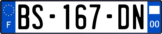 BS-167-DN