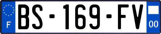 BS-169-FV