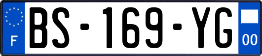 BS-169-YG