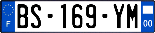 BS-169-YM