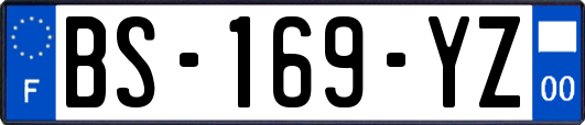 BS-169-YZ