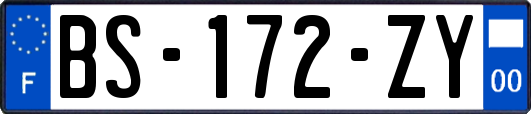 BS-172-ZY