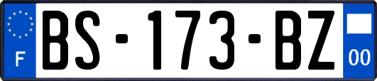 BS-173-BZ