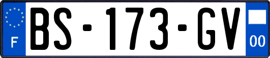 BS-173-GV