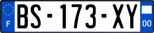 BS-173-XY