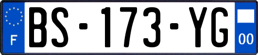 BS-173-YG